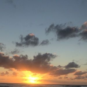 Meet your Posher, Katelyn